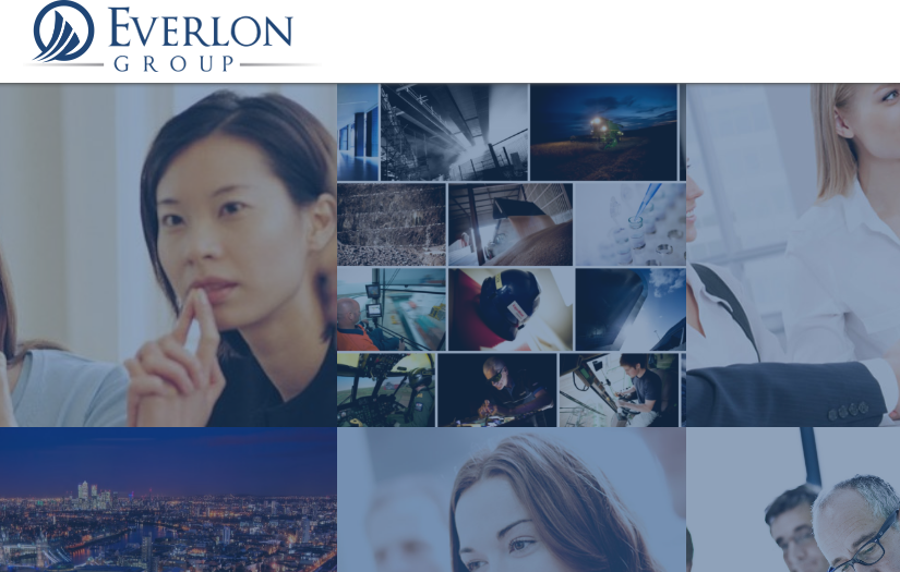 Everlon Group screenshot 1